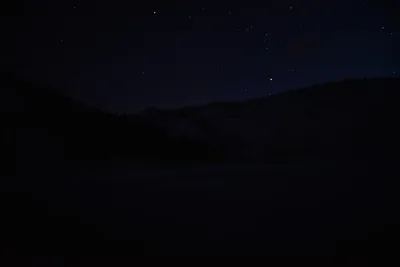 DSC_5976 (Large).JPG